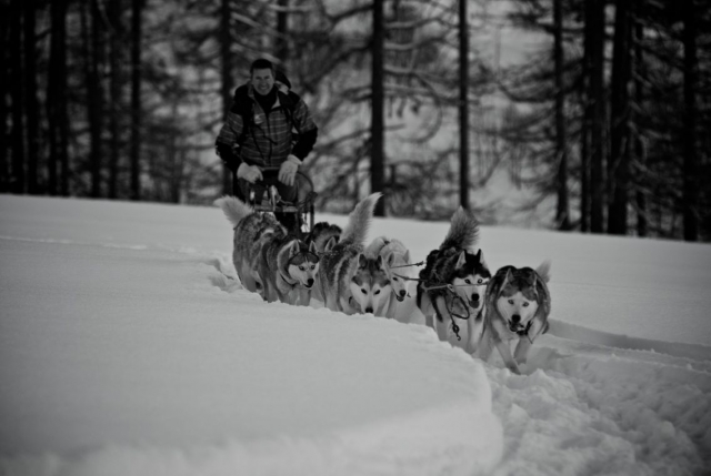  Mushing Alta Saboya